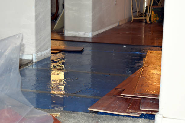 Professional Water Damage Restoration technician working in Lake Park, FL